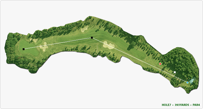 HOLE7 / 393YARDS / PAR4